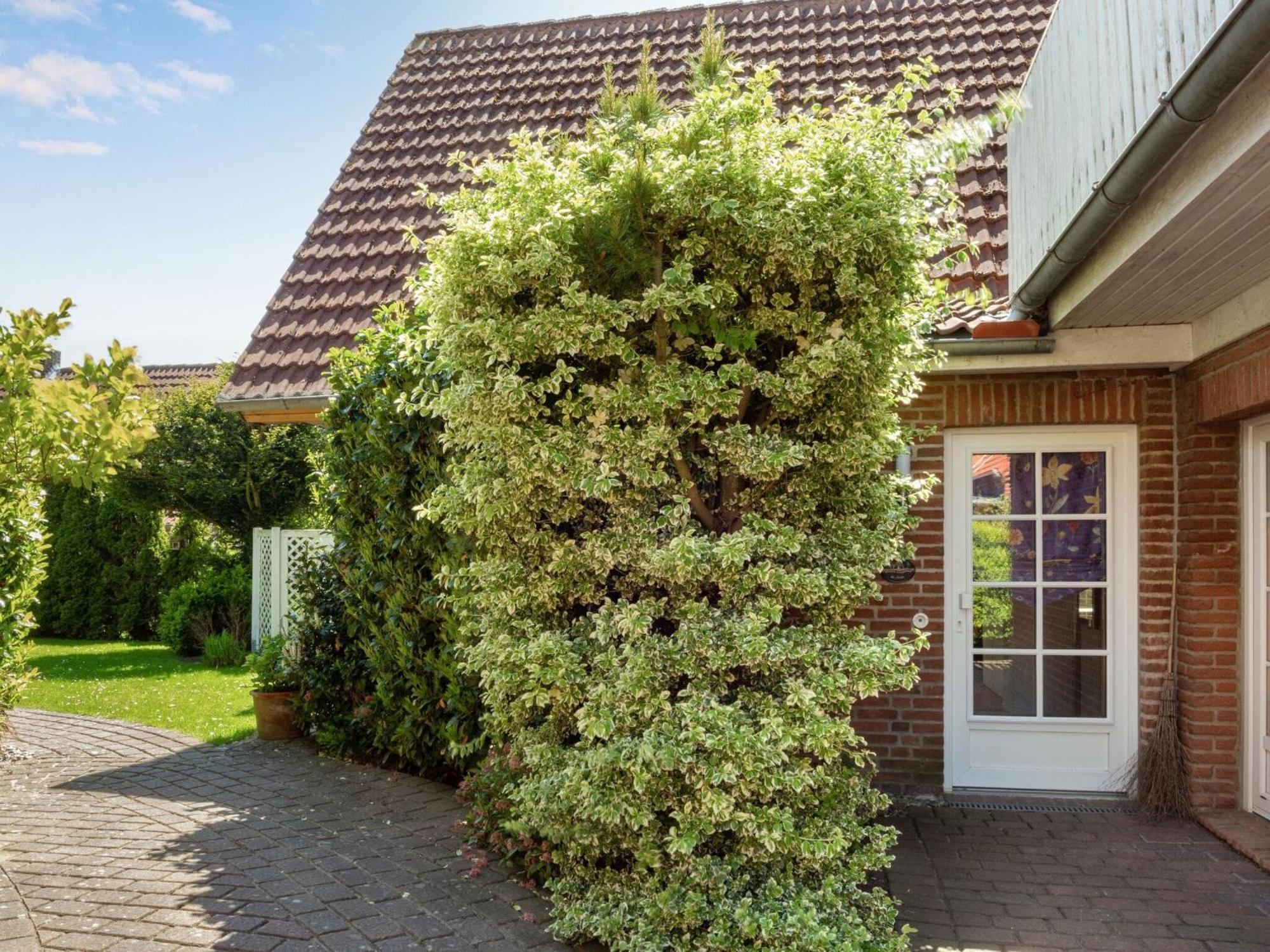 Enticing Holiday Home In Oldenburg With Garden Near Sea Dannau Exterior photo